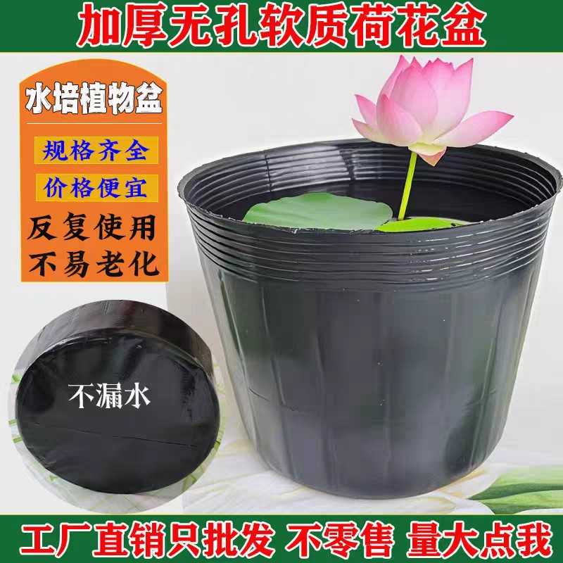 无孔营养钵营养杯育苗杯加厚不漏水水生植物荷花盆睡莲盆图片