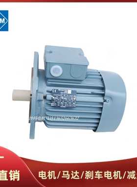 德国VEM电机 VEM motors Thum vem motors GmbH 德国VEM马达