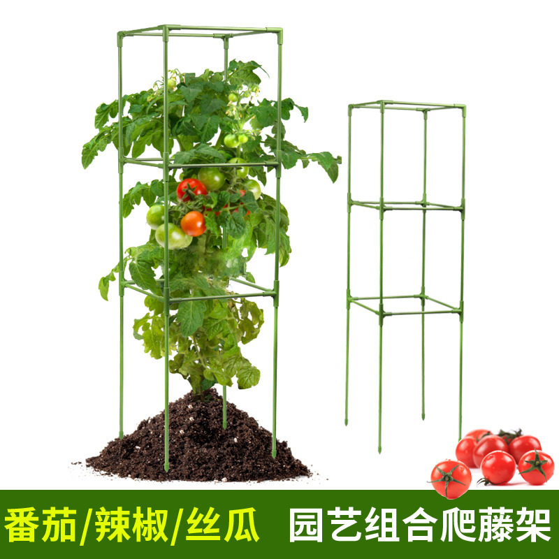 园艺番茄笼可调节爬藤架方形蔬菜