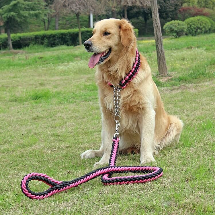 中型大型犬专用加厚防勒遛狗金毛