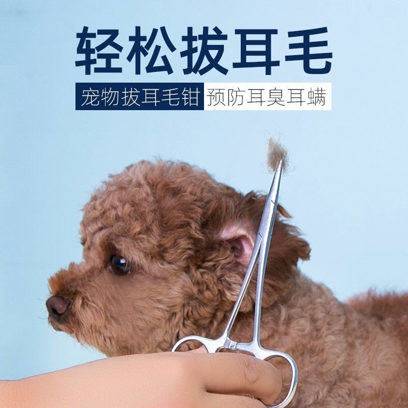 狗狗猫咪专用拔耳毛钳宠物耳朵