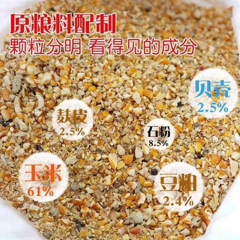饲料玉米产蛋鸡专用碎粒适用于鸡