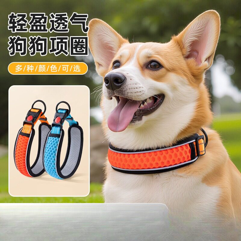 小型犬狗项圈宠物反光项圈加宽狗链遛狗绳宠物用品狗围脖