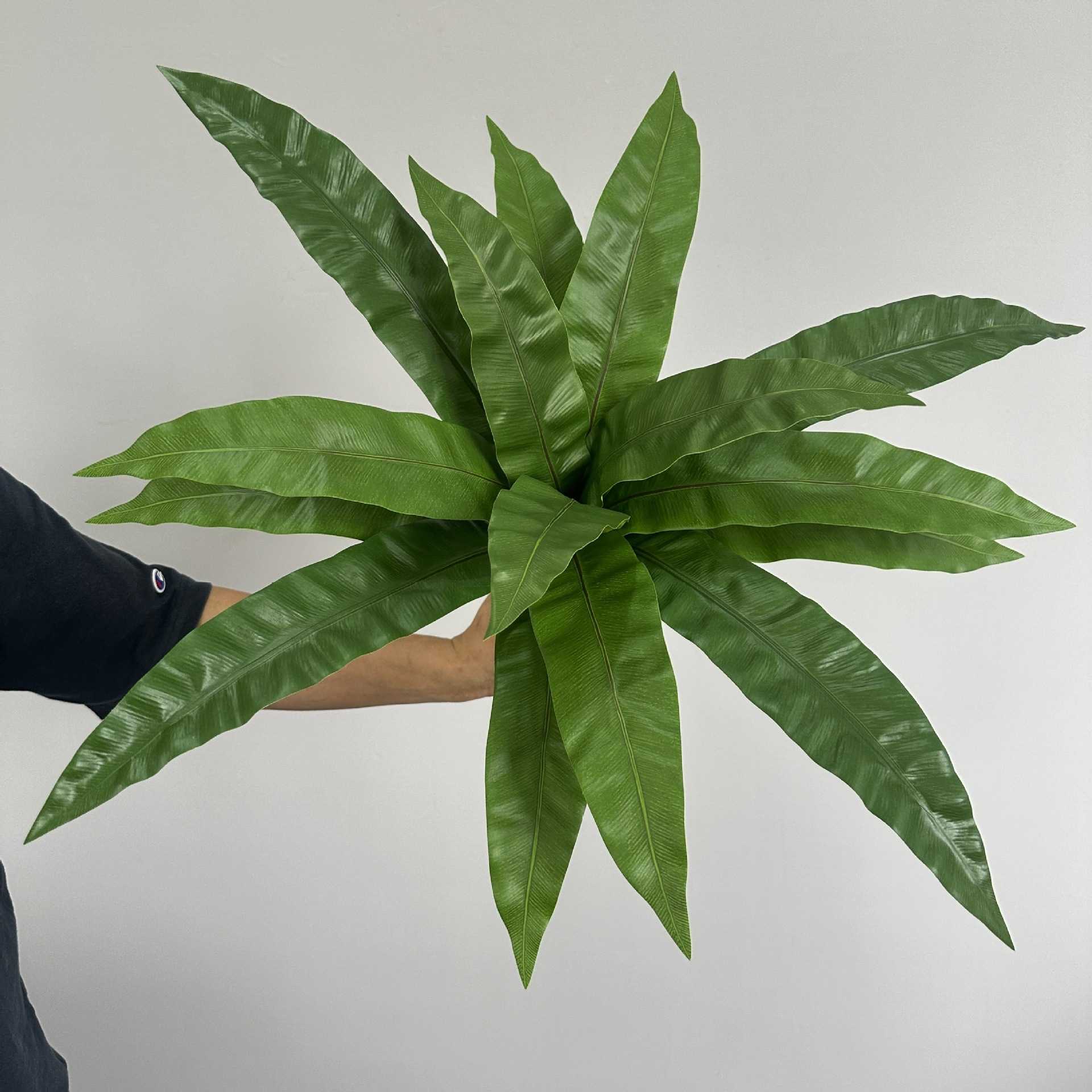 仿真蕨类植物墙装饰软胶鸟巢地插