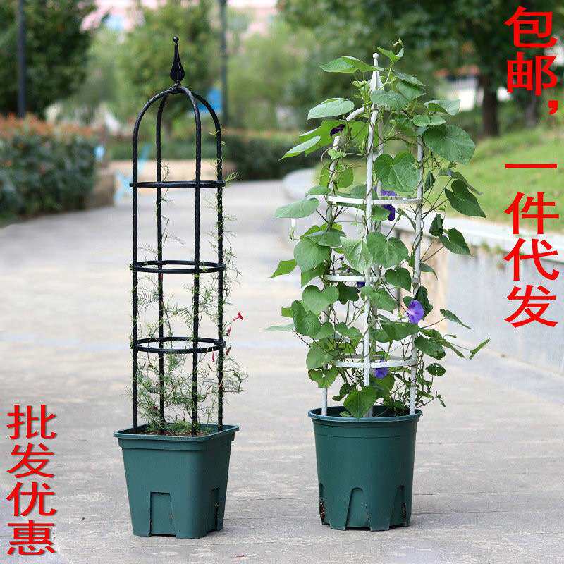 爬藤架U型花支架园艺攀爬藤月季