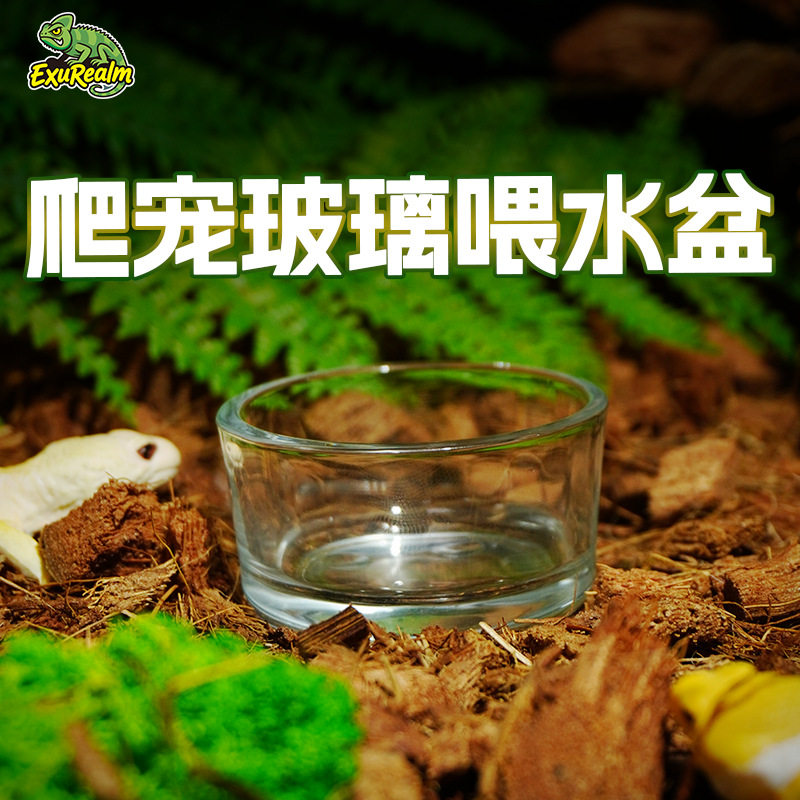 爬虫专用亚克力水盆食盆套装适配