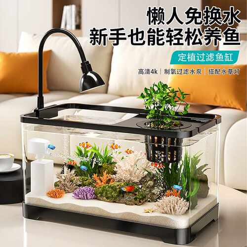 新阔庭家用生态水族箱客厅带盖