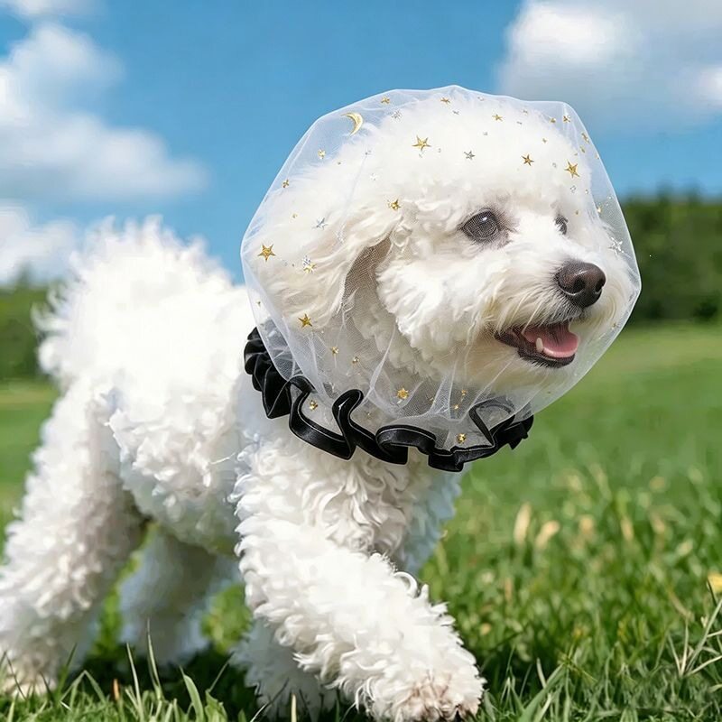狗嘴套防咬防叫专用网纱透明款犬