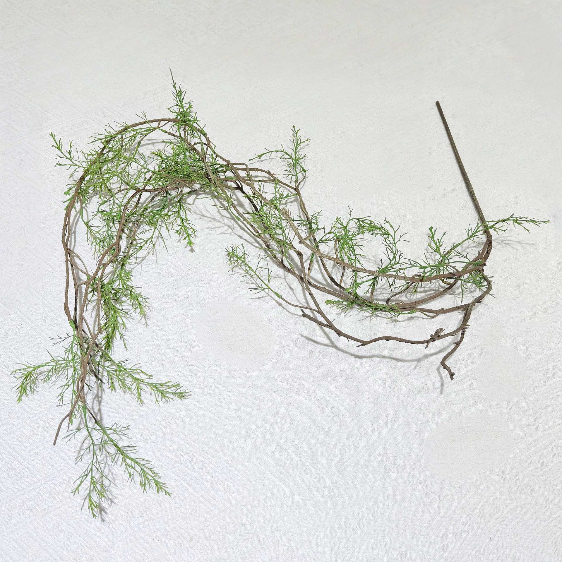 黑骨芒仿真绿植天门冬枯藤森林系