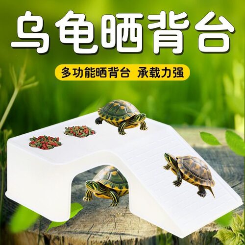 乌龟饲养专用生态造景龟缸｜带盖