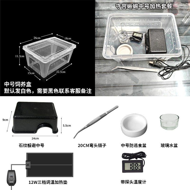 爬宠守宫蜥蜴饲养套装含躲避屋