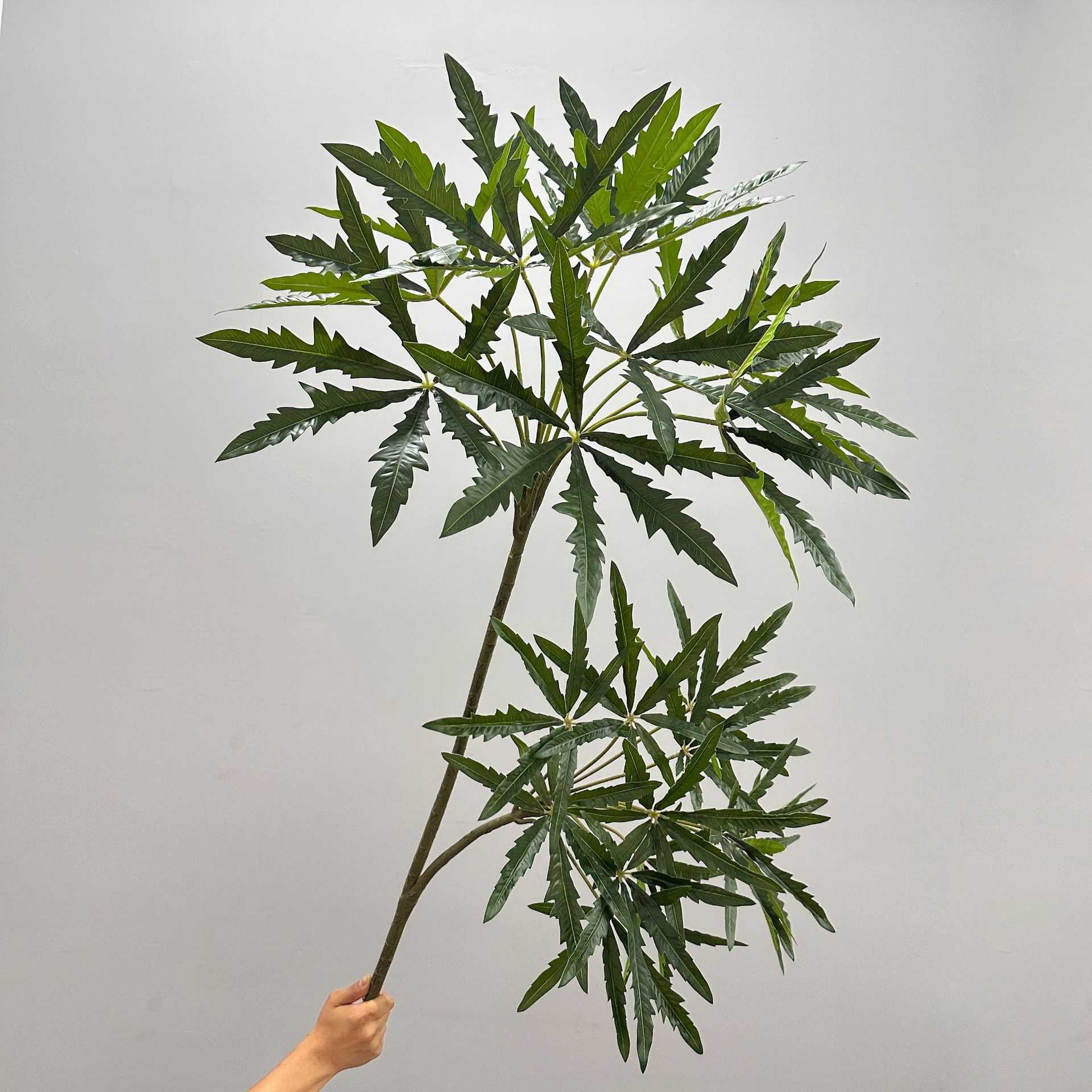 仿真植物孔雀木瓜叶龙眼叶大型