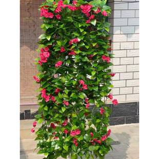 仿真手花工喇A-2232叭花牵牛挂绢藤条空调管花道装饰花壁藤