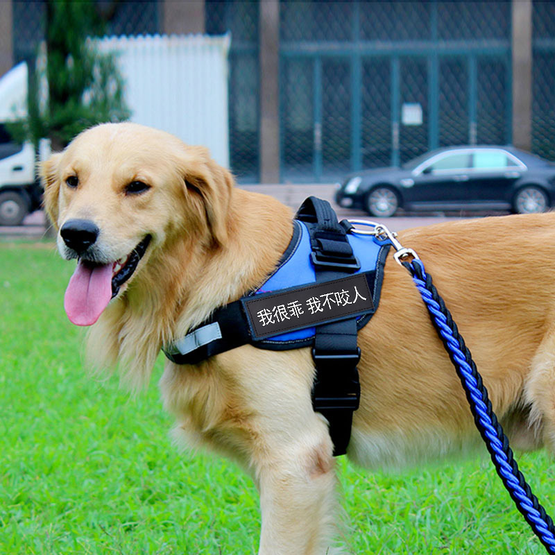 狗狗胸背带大型犬金毛阿拉斯加牵引绳中J型犬马犬狗链子遛狗绳项