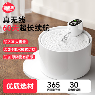 猫咪自动饮水机宠物o饮水器喝水器不插电流动自动循环狗狗猫喂水