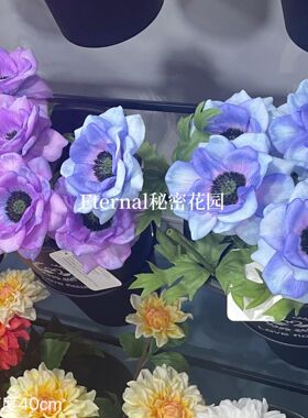 手感水润银莲 新款3D保湿仿真花造景网红蓝紫色橱窗莫奈厂家