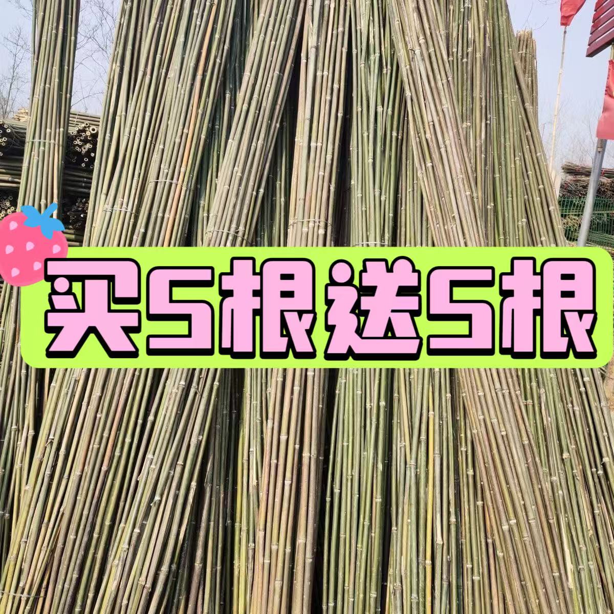 竹竿菜园搭架竹子户外旗杆黄瓜豆角爬藤菜架竹杆支架豇豆搭架杆