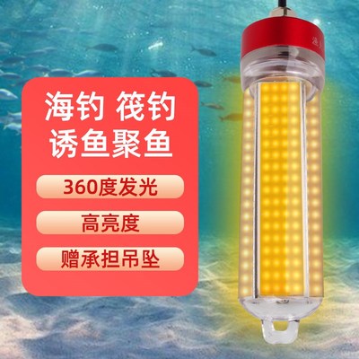 钓哈哈新款大功率海钓筏钓水底水下诱鱼灯夜钓灯黄光钓鱼灯聚鱼灯