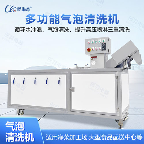 优选果蔬番茄叶菜类水果苹果李子气泡鼓泡式清洗机 生产厂家