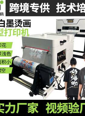 跨境爆款dtfprinter白墨烫画打印机小型A30cm宽数码热转印打印机