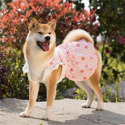 纯棉宠物草莓连衣裙子全棉猫咪狗狗中小型犬柯基法斗柴犬泰迪衣服