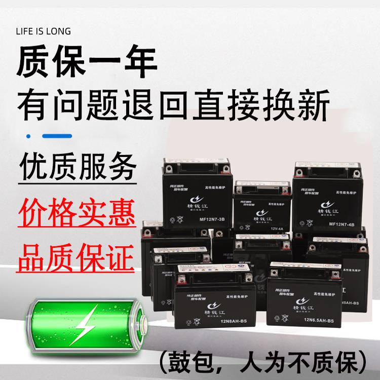 三轮摩托车电池110/150/175宗申隆鑫免维护蓄电池12V9A干电瓶通用