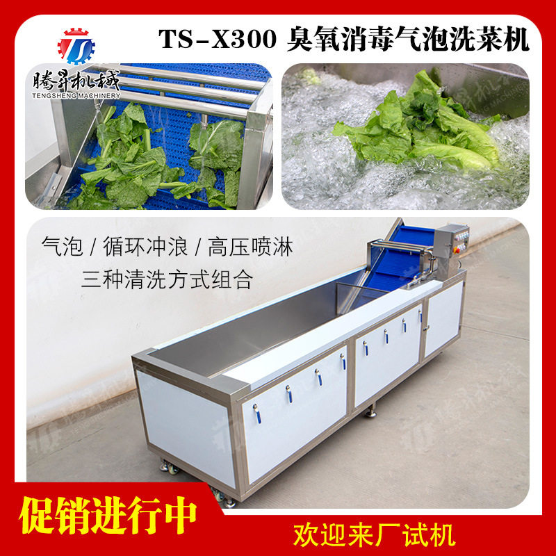 广东优质不锈钢洗果机 自动红枣清洗机 葡萄干清洗机 清洗机价格