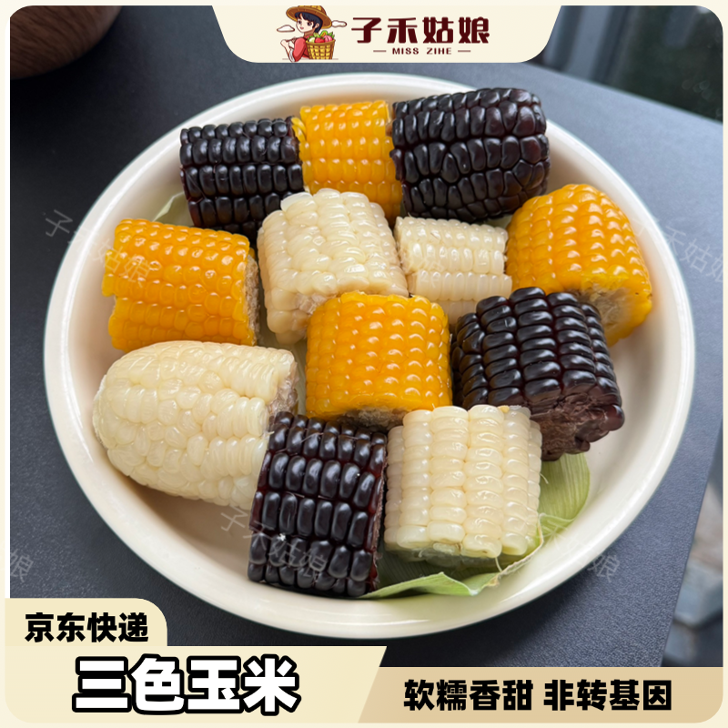 三色玉米白糯黄糯黑糯玉米