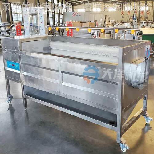 毛刷式花生清洗不锈钢设ZNF备落花生清洗机新型地瓜清洗机械洗莲