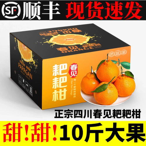 四川春见耙耙柑粑粑柑橘10斤顺丰