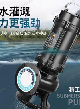 国标污水泵38泵0V污家用潜水泵化AQN池工地抽水泵2粪20V无堵排塞
