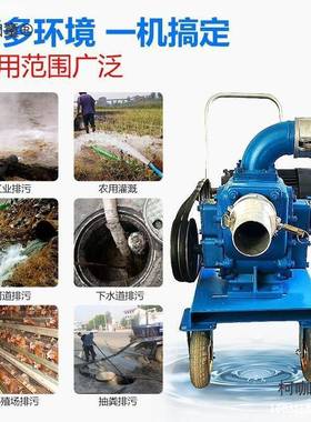 浆打小井泥浆泵型流抽ZLB粪泵养殖场48v无堵塞自吸化粪池泥麦直太