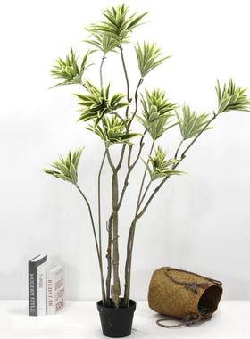 仿大真绿植室内客厅141012装饰百合竹盆型仿树真植物人造室内落地