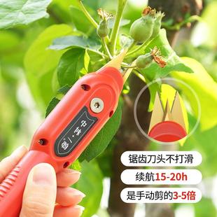 中村一郎电XPK动花稀果剪双疏刃疏果专用剪子修花蔬剪家用摘果剪
