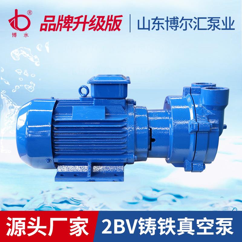 2BV2070水环式真空泵淄博厂家抽气泵头水循环球墨铸铁2BV真空泵