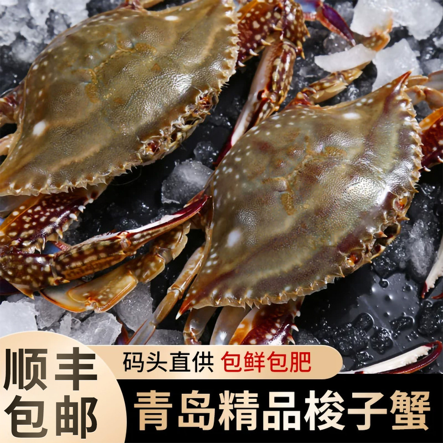 [保鲜不保活]梭子蟹青岛本地海捕梭子蟹新鲜螃蟹大海蟹飞蟹兰花蟹