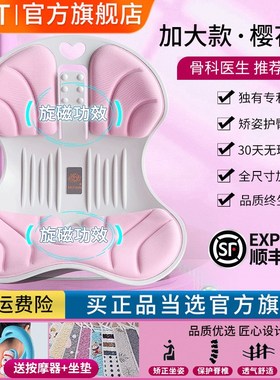 NGT护腰坐垫花瓣靠椅办公室久坐不累神器旋磁矫正背靠学生美臀椅