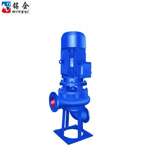 LW工业废水陆地排污管道泵直立式管道排污泵管道污水泵80口4KW