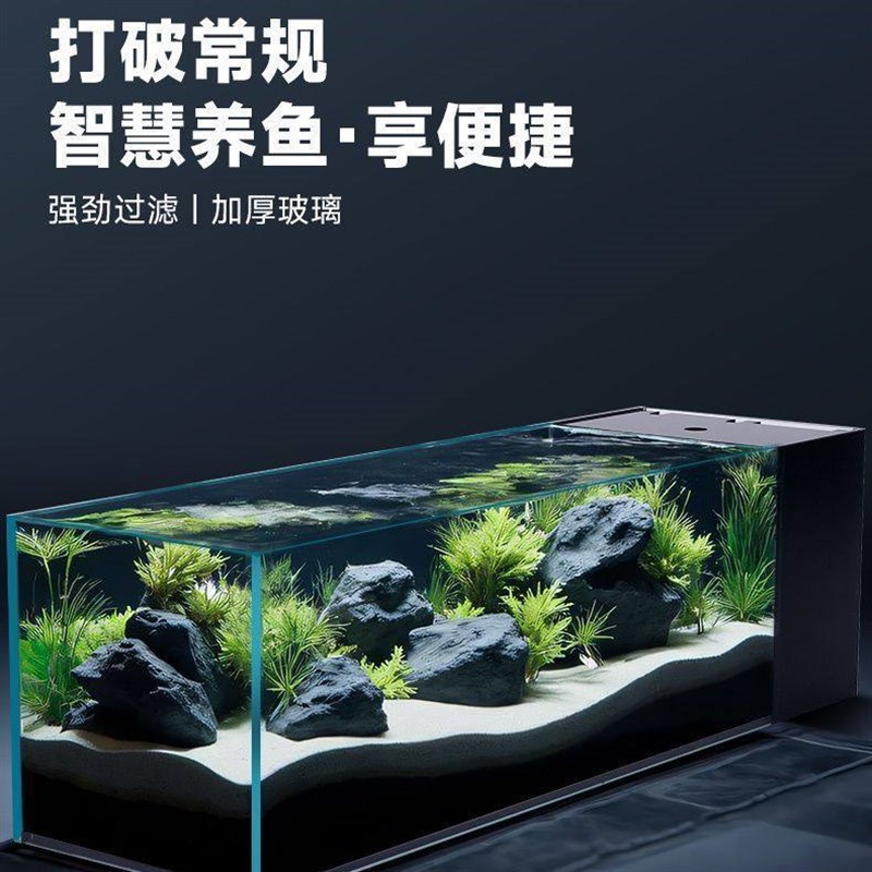 2025新款过滤制氧一体机侧滤溪流缸金晶超白玻璃客厅桌面生态鱼缸