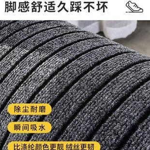 进门地垫家用门口入户门垫子门厅玄关防滑垫门垫室外蹭土耐脏地毯