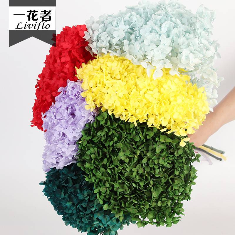 花者DIY客厅餐桌装饰摆件永生花单支小叶安娜绣球直供现货