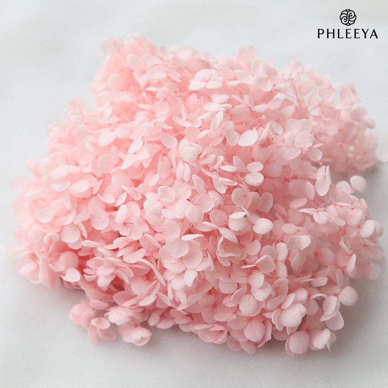 永生花安娜绣球20g干花送母亲节礼物礼品包装diy工厂材料仿真