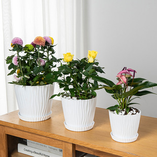 花盆波纹圆形多规格加厚塑料花盆 家庭园艺阳台多肉植物盆月季