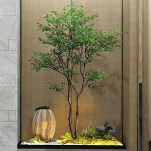 彷真树吊钟树马醉木植物景观造景室内客厅阳台商场饭厅高档大型树