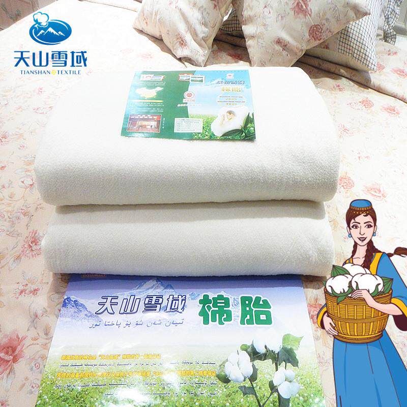 天山雪域新疆棉被芯长绒棉花被棉胎夏春秋冬被棉絮褥子千层网纱被