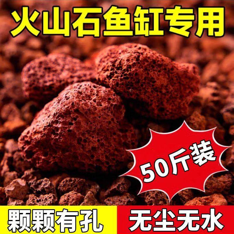 天然火山石颗粒鱼缸造景底砂过滤滤材专用净水盆栽多肉兰花火山岩,鲜花速递/花卉仿真/绿植园艺,介质/营养土,淘宝优惠券,粉丝福利购,淘宝优惠卷