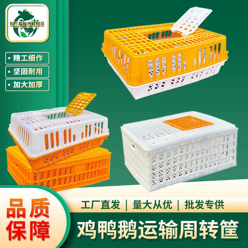鸡笼周转箱鸭鹅运输筐塑料鸡笼子特大号活鸡周转箱成鸡框养鸡设备