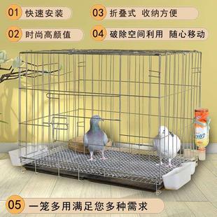 專用鴿子籠子 鴿子籠家用養(yǎng)殖二層家養(yǎng)折疊配對(duì)號(hào)大全籠大網(wǎng)窩新款