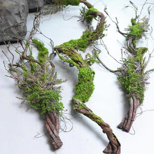 彷真老树藤苔藓枯藤森系造景装饰摆放假藤青苔藤垂挂陈列树枝花艺