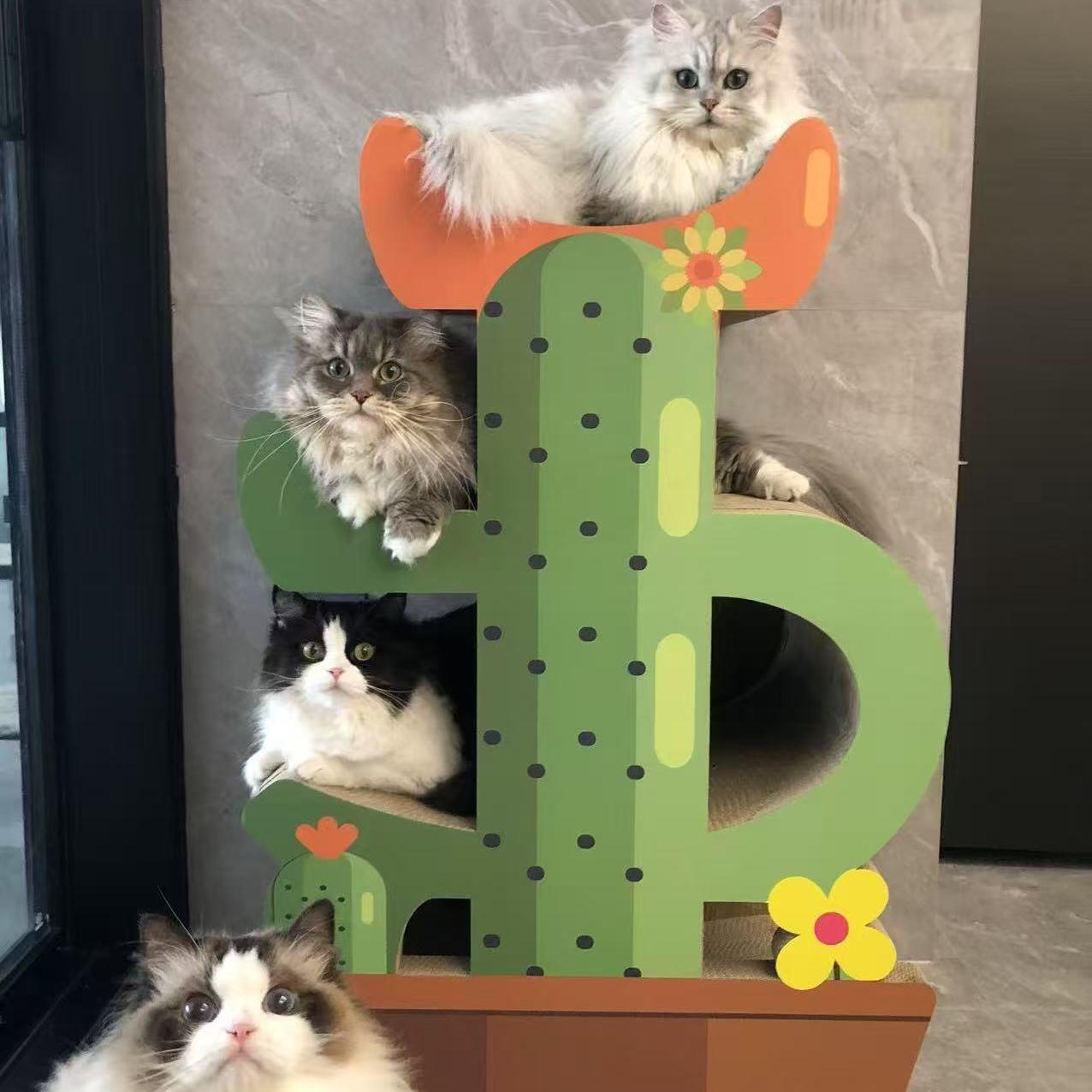 益蔻icle仙人掌猫抓板猫窝猫爬架4层高端BB坑耐抓耐磨多层组合窝